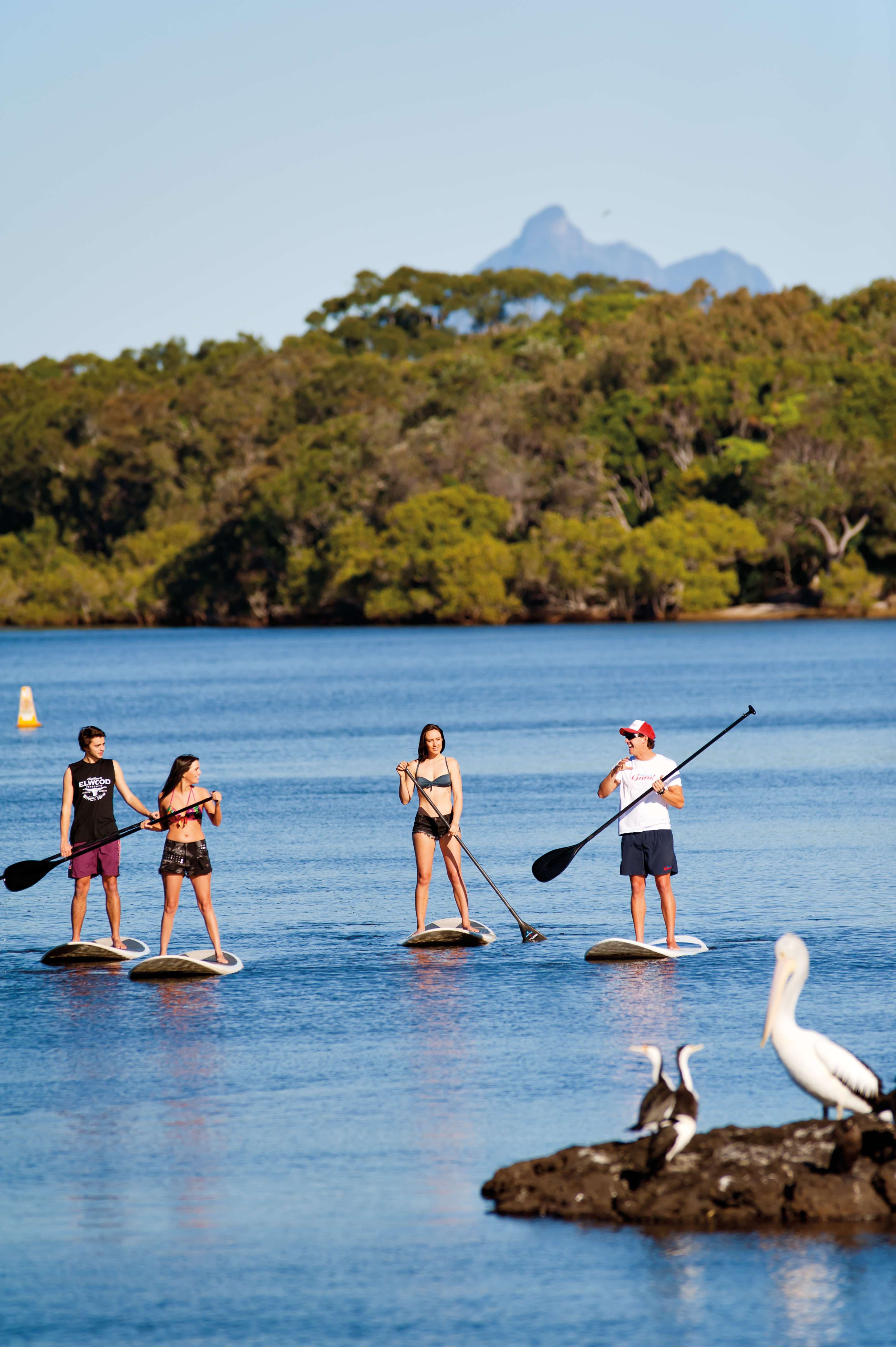 STANDUP PADDLE BOARD LESSON (SUP)